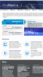 Mobile Screenshot of msmetrix.com